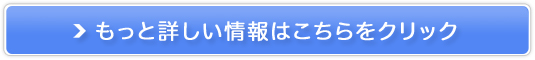 CMSڂ̎VXeyT[`vXforz̔TCg
